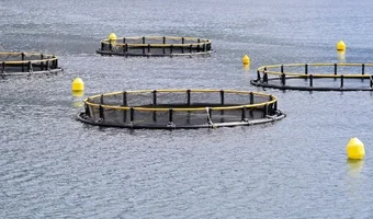 Diploma-in-Aquaculture