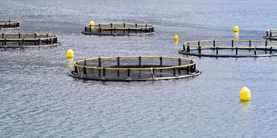 Diploma-in-Aquaculture