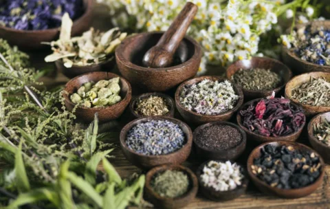 Ayurvedic Medicine