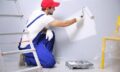 Diploma In Painter