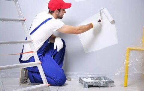 Diploma In Painter