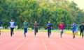 Diploma in Physical Education
